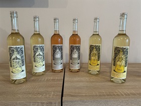 DEGUSTACE VÍNA