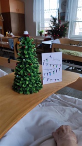 VÁNOČNÍ PŘÁNÍ PRO SENORY