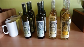 DEGUSTACE VÍNA