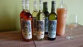 DEGUSTACE VÍNA
